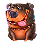 Chunky Rottweiler symbol in The Dog House pokie