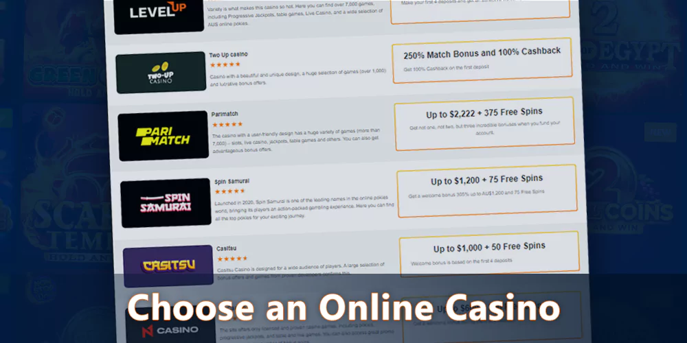 Choose an online casino to play Buffalo King