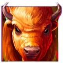 Buffalo symbol