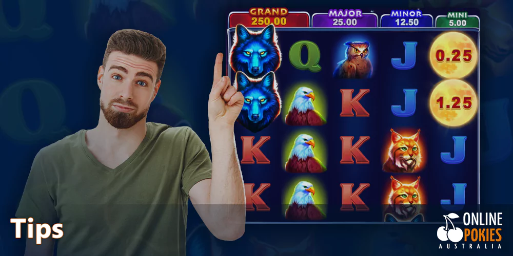 Black Wolf pokie Tips for Aussies